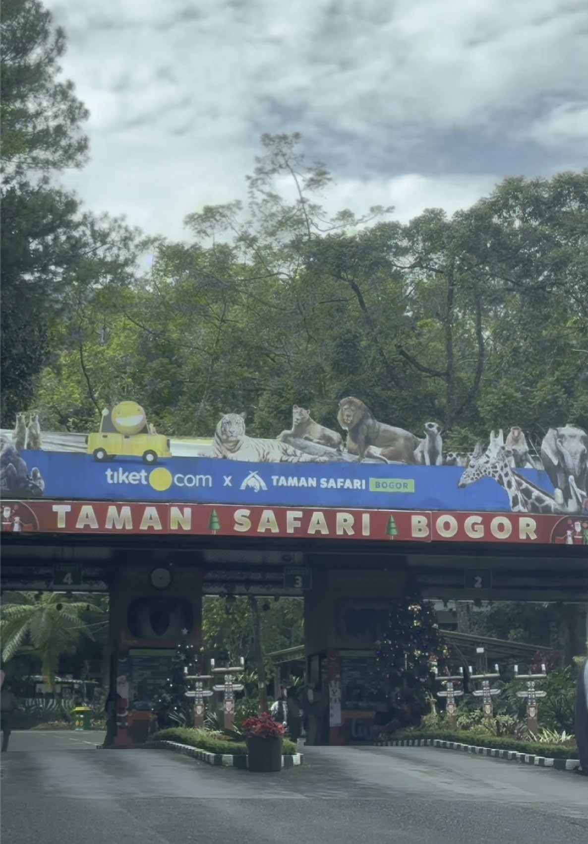 Eshan di taman safari bogor, 28 Desember 2024 #throwback #bogor #tamansafariindonesia 