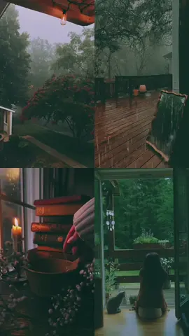 Ｆｅｅｌ  ｔｈｉｓ  Ｎａｔｕｒｅ  😌🌧️ #ailes #aestheticnaturevibes #rainaesthetics #natureaesthetics #fyp #naturewithmusic 