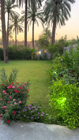 #اصبحنا_واصبح_الملك_لله 🍃❤️