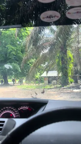 Terkejut kite tibe2 ada org berlari dlm barisan.. derau2 rse.. eh kacang ijau rupenye.. 🤭🤭🤭