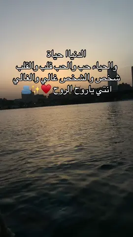 بحبك ياروح قلبي N♥️🫂💍 #ليك______🖤___متابعه____اكسبلووور #yyyyyyyyyyyyyyyyyy #حب #منشن #ترند_جديد 