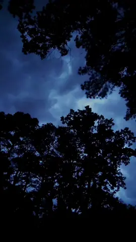 🖤🌧🍃🌲🍃Blue 💙  #nature #dark #wallpaper #raining #darkness #cloudy #lluvia #mood #2025 #mystery #2025 #relax 