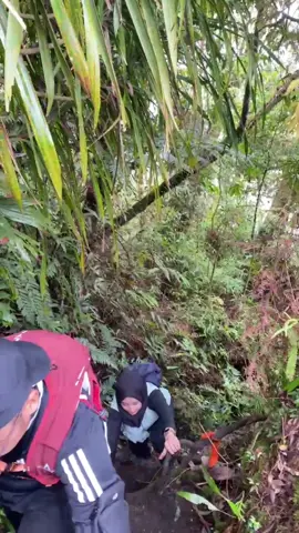tektok gunung salak cukup sekali sih!. perjalanan singkat tp berkesan. terimakasih guys see u next trip⛰️ #kalianhebat 