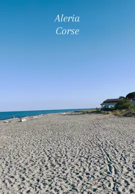 #aleria #corse #corsica #hautecorse2b #plage #vuepanoramique🤩 #beach#playa 