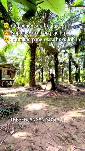 #kesenjangansosial #sawit #fyp #queen 