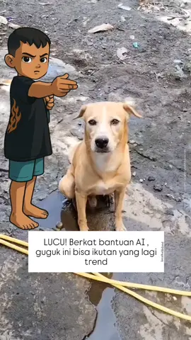 cicing ras bali yg mulai langka dan merajakan cicing peking 🤪🐕🐕🐕#anjingbali 