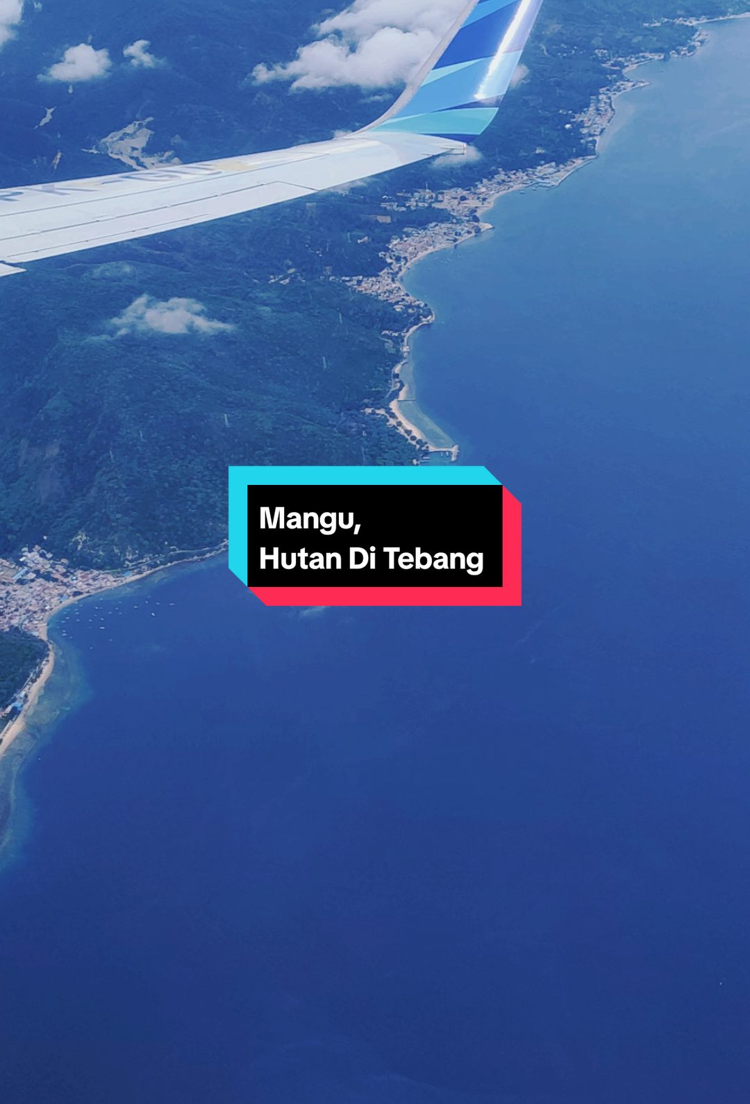 Mangu melihat Hutan Gorontalo di Tebang atas nama solusi atas Perubahan Iklim.  #mangu #hutan #Fyp #krisisiklim 