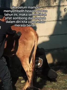 muhasabah diri. #JemputIlmu #CapCut 