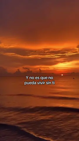 El vino de tu boca @Alejandro Sanz #fyp #letrasdecanciones #parati #ex #amor #songlyrics #foryou #alejandrosanz #elvinodetuboca #yahoraque 