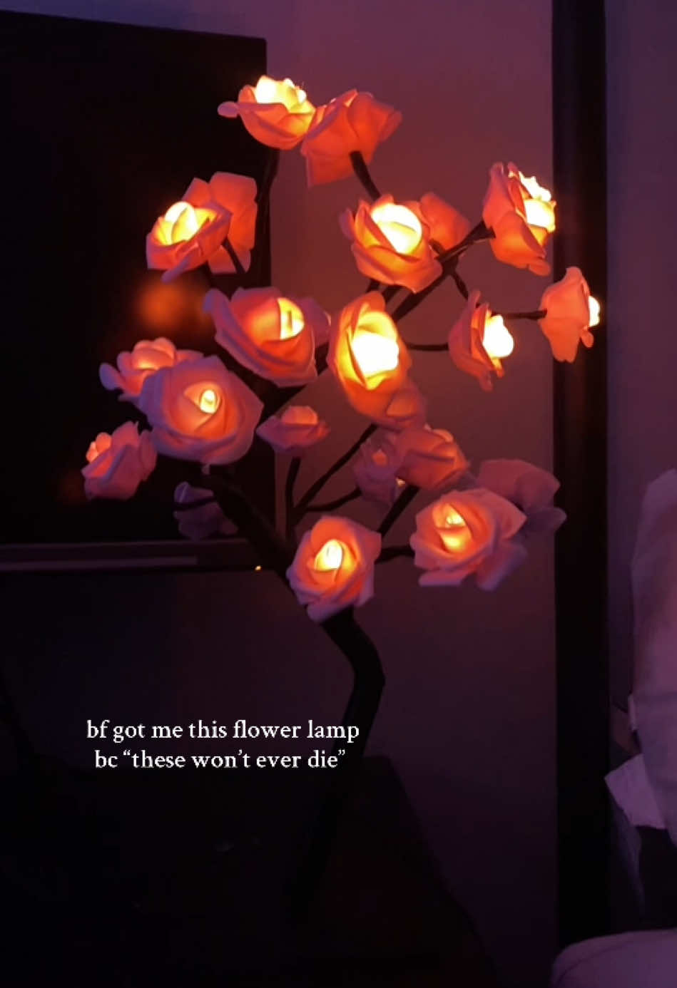 love so so much.                                              #fyp #flowerlamp #neverdie #flowers #bf 