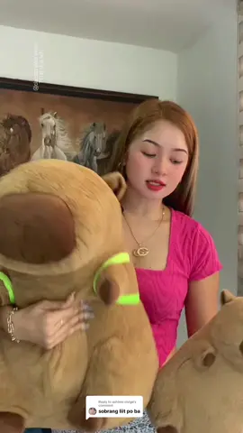 Replying to @ashtine olviga di naman po sobra liit sakto lang 55cm bongga po talaga s laki#kapibara #capybara #giftideas 