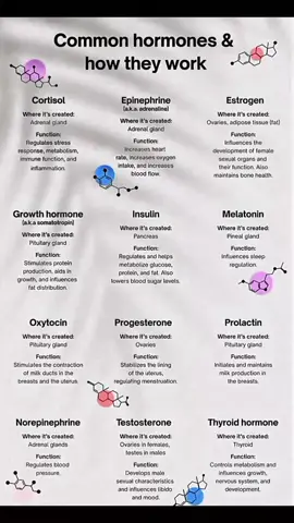 Unlock the secrets of your body! Here are the most common hormones and how they keep you alive, alert, and in balance. Know your body, master your health! #HormonesExplained #BodyScience #HealthFacts #BiologyMadeSimple #MedicalKnowledge #StudySmart #FunWithScience #Anatomy101 #StudentLife #HealthTips #ExamPrep #EndocrineSystem 