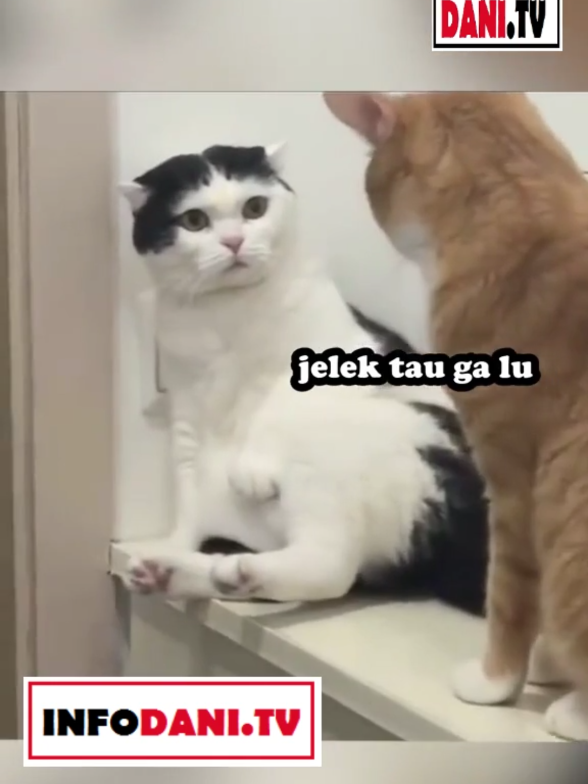 #TagORANGNYA #fyp #foryou #funny #foryoupage #INFODANI.TV #videolucu #infodanitv