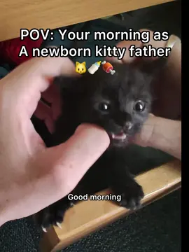 She’s too young to take a little bathy so we gotta use these for now 🐱😳🧼 #pov #kitten #newbornkittens 