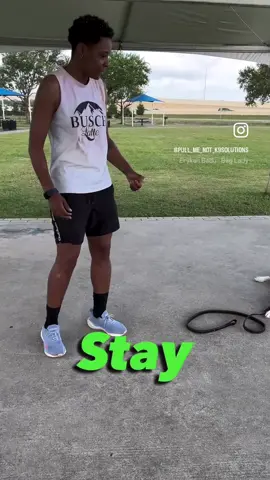There’s no good training w/o distraction. Let’s work together to get your pup locked in; following your commands, THE FIRST TIME TOLD, not the 19th! #DogTraining #houstondogtraining #dogtrainer #houstondogtrainer #tiktokreelsviral #explorepage #offleashtraining #onleashk9training #k9training #basicobediencetraining #pearlandparks #dogparkdrama