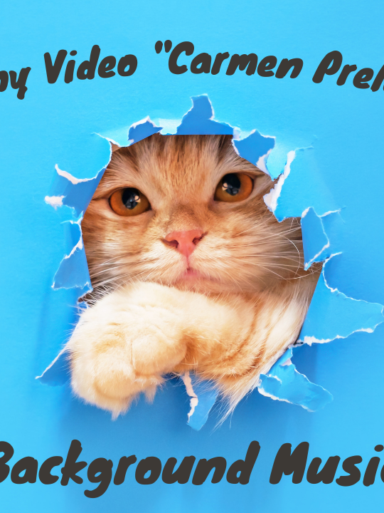 Funny Video 