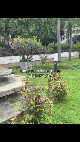 #galaubrutal 