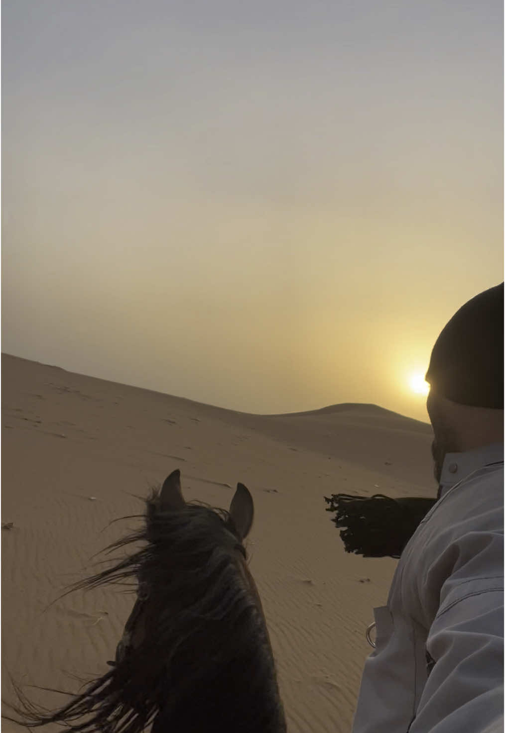 #أحمد_محمد_عثمان_الحقيل  #خيل #حصان #الفروسية  #حصان_عربي #تدريب_الخيل #التحكم_بالخيل #فروسية #التزليق #المواكبة #ركوب_العرب #الركوب_العربي #الفروسية_العربيه #الخيالة_العربية  #قود_الخيل #ترويض_الخيل #معلومات_عن_الخيل #مواكبة_الثلاث  ‏#ahmadalhuqayl #horsemanship #horsetraining #arabianriding  #arabianequestrianism  #horsetraining #horsebackriding #arabianhorsemanship 
