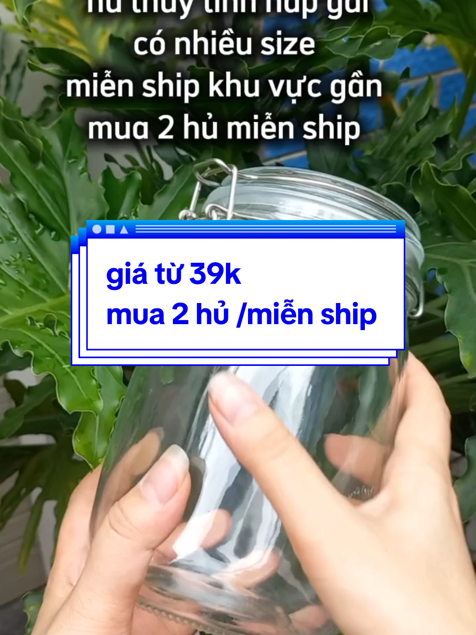 hũ thủy tinh nắp gài quai kim loại đựng gia vị thực phẩm hạt mứt trà muối chua bánh trái. giá từ 39k mua 2 hũ miễn ship.  #hudunggiavi #huhuytinh #hudungthucpham #hudungsuachua #husuachua #hunapcai #huthuytinhnapcai #huthuytinhquaicai #xuhuong #viral 