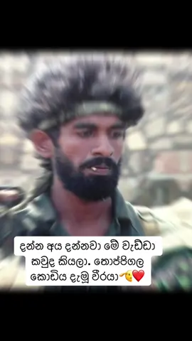 Sl commando soldier 💪🏼♥️#slairforce #tiktok #armytiktok #slcommando #sfteam #sinhala #slarmy #srilanka #Respect #slnavy #remembranceday #ජීවිතයකැපකළරණවිරුවෝ #akd #fypシ゚viralシfypシ゚viralシalシ 