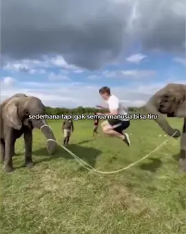 Bakat gajah emang gak main-main ya #gajahcore #anakgajahcore #gajahlucu #gajahviral #gajah #bakatgajah 