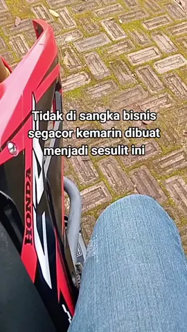 #trend #katakata #remix #remixlampung #beranda #bismillahfyp #lampungpride #yudapasker80 #lampungtimur #4u #foryoupage #fyp #fyppppppppppppppppppppppp 