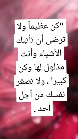 #tiktokarab #tiktokarab 