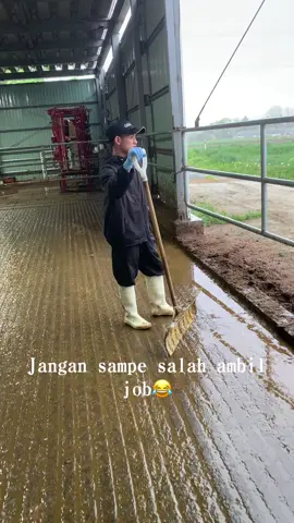 Jangan salah pilih job ya🙏#tamamaru #kensusei🇮🇩🇯🇵 #fypberandatiktok #purworejo24jam #purworejo #hokaido #tkijepang🇯🇵 #jobpeternakanjepang #sapiperah #xcyzbca #kulisapi #prosesjepang #tokuteiginou #jobjepang @Hendraくん 
