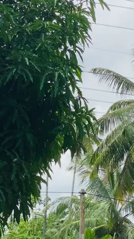 Ona aya denma kiyanna..👌💙😇