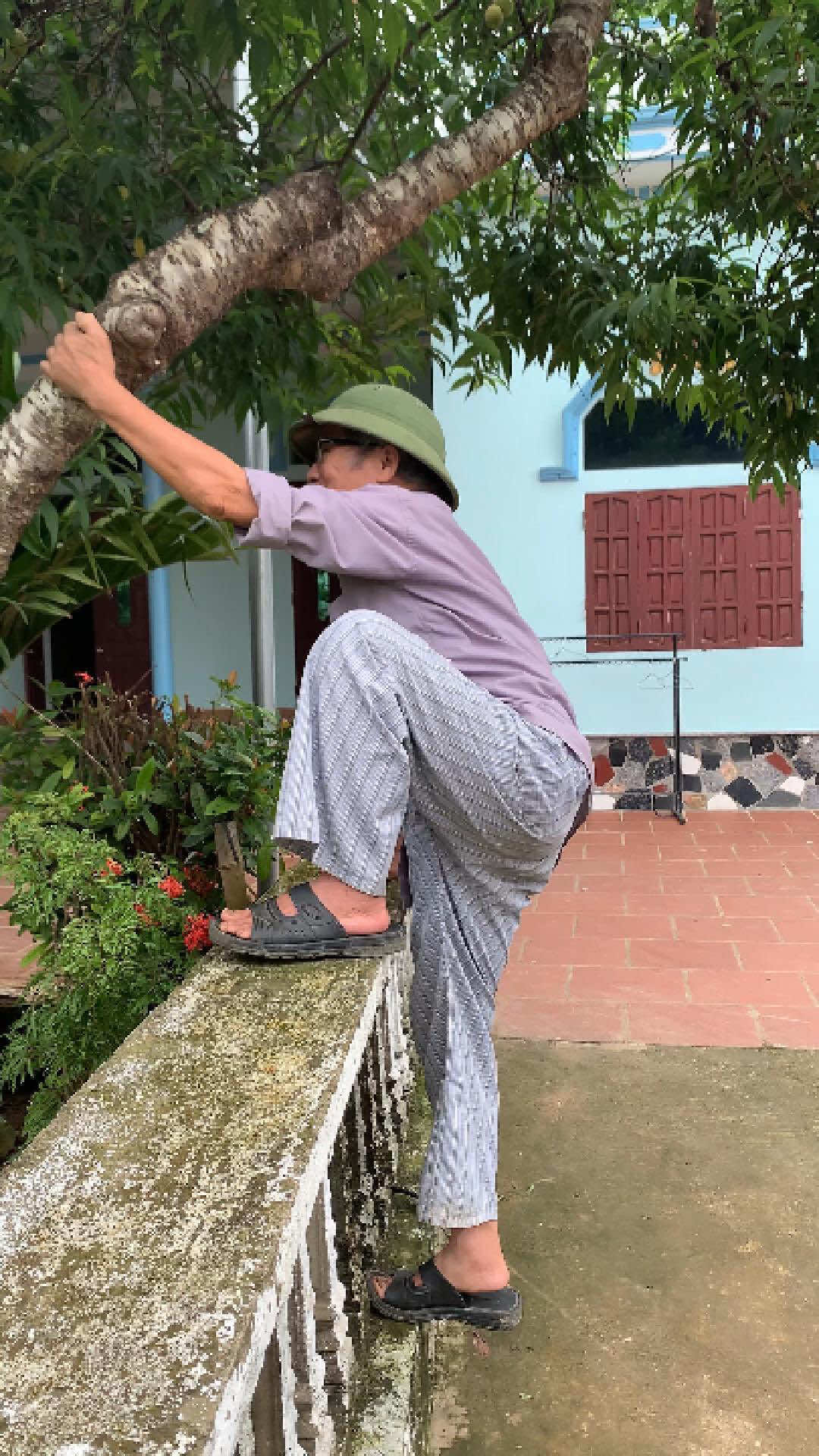 Câu chuyện 6 quả đào#thangchung #giaitritiktok #xaykenhtiktok2025 #viral 
