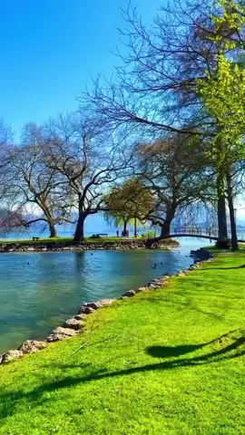 #@নুসরাত @꧁☆☬𝐑𝐮𝐦𝐢 𝐀𝐤𝐭𝐞𝐫☬☆꧂ @voice of hridoy 🥀 @Md Akash560 @AKIB 1K BOSS1 