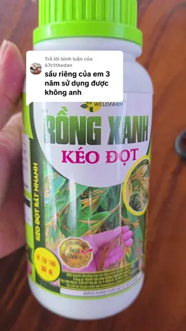 Trả lời @67c1thedan Kéo đọt mạnh 