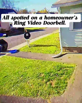 All-spotted-on-a-homeowner's-Ring-Video-Doorbell #Doorbell #ring #doorbellcamera #Homeowner #StoryTime #fyp