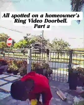 All-spotted-on-a-homeowner's-Ring-Video-Doorbell-part-2 #Doorbell #ring #doorbellcamera #Homeowner #StoryTime #fyp