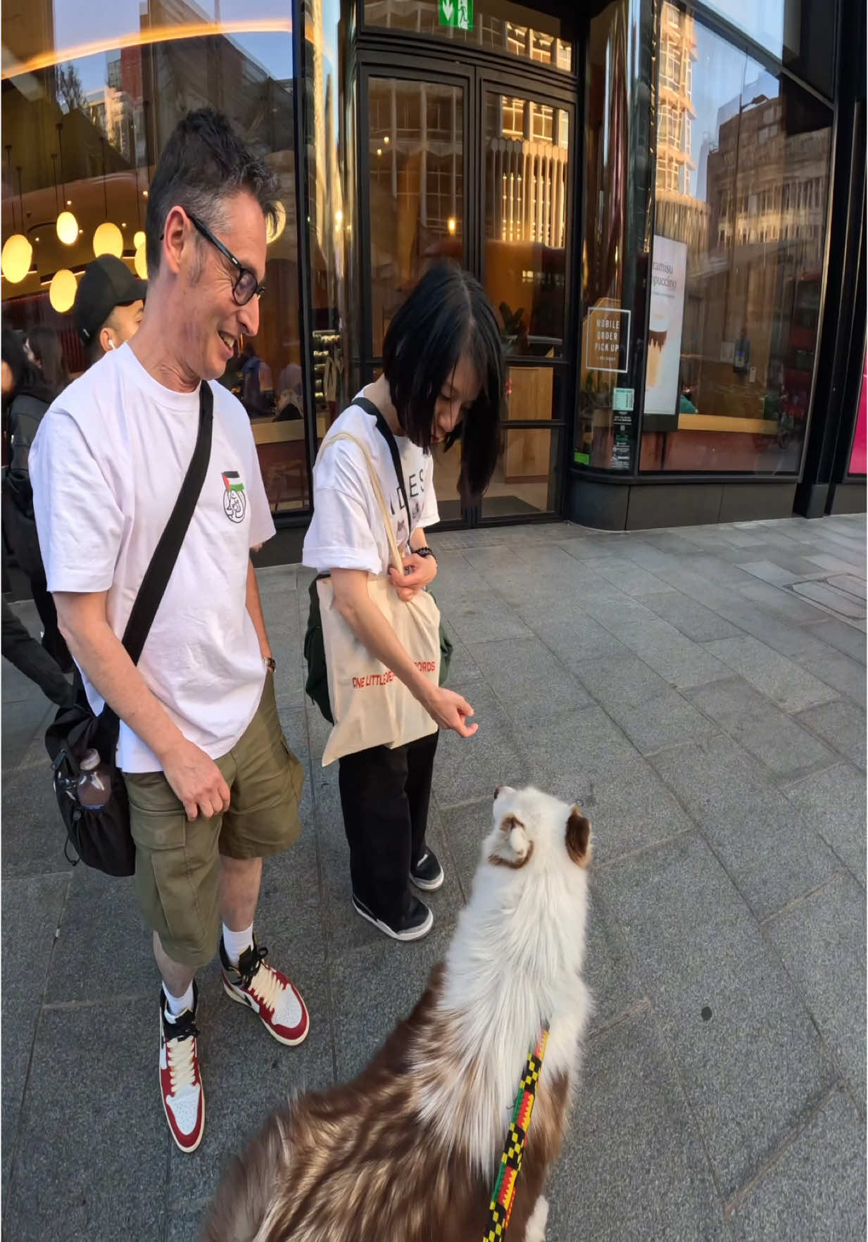 Interactions with my dog!! #husky #viral #fyp #foryou #dogsoftiktok #petlover #viola 