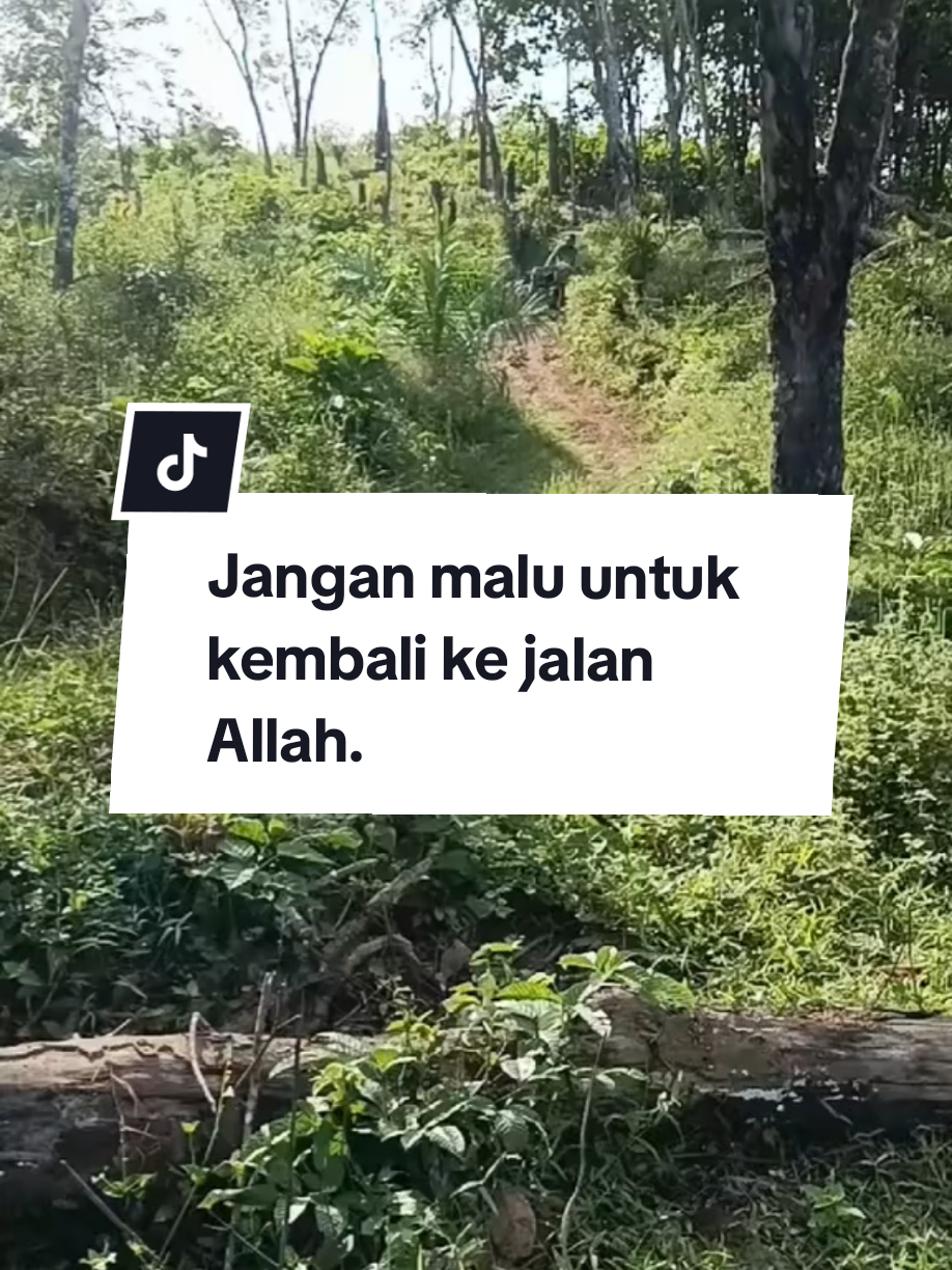 Jangan Malu Untuk Kembali Ke Jalan Allah | Ustadz Adi Hidayat #ustadzadihidayat #uah #taubatyukk #pemudahijrah #foryou #memedakwah #fypage 