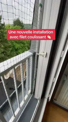 Parce que la sécurité est essentielle pour nos chats aussi. 🙏🏻 #securite #chat #protection #fenetre #artisan #entrepreneur #iledefrance #regionparisienne #paris 