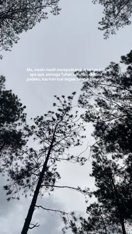 Terimakasih, ma, untuk doa yang selalu kau langitkan, cinta dan pengorbanan yang selalu kau berikan. Mama adalah dunia, dunia adalah mama. Tolong tinggal lebih lama. 