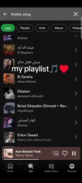 😌 #arabicsong #laguarab #trendingsound 
