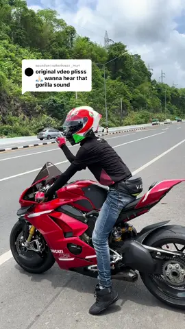 ตอบกลับ @_Hurt Thanks for your comments.#ducati #V4s #เจ้าหมูแดง❤️ 