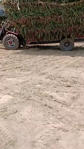 #tarctorlover🚜🚜 Barnd video for you 
