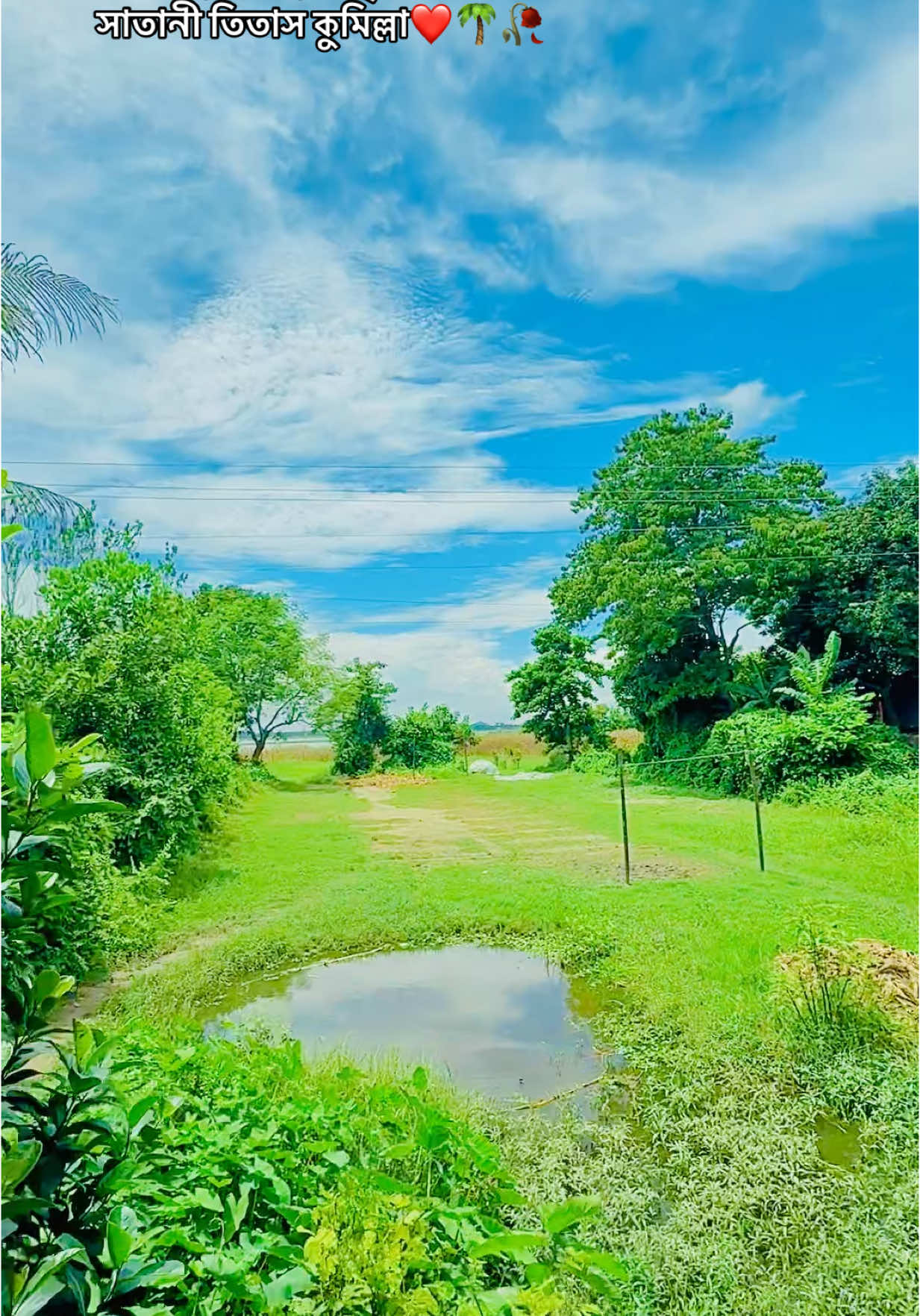 #আমাদের_গ্রামের_প্রাকৃতিক_সৌন্দর্য_সাতানী_তিতাস_কুমিল্লা❤️🌴🥀#foryou #foryoupage #viralvideo #unfrezzmyaccount #foryoupageofficiall #saidulrahmaneshan @Your_ Efat 〆 Rana  @🇧🇩Bayezid🇮🇹 @J I H A D ⚡ @.....♡Tithi♡.... @@Jidni akter 09 @🎋FaHuU 🖤 
