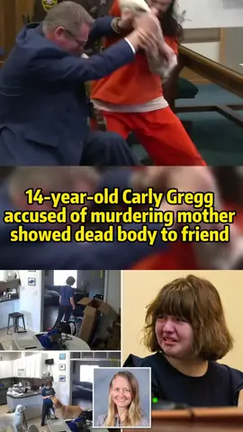 Part 1 #news #breakingnews #fyp #foryou #tiktok #court #murder #prison #courtroom #prisoner 