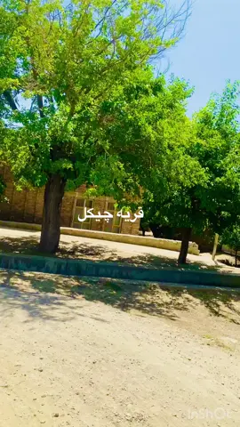 #foryoupage #viralvideo #explore #fyp #100kfollowers #طبیعت_زیبا #قریه #چیکل 