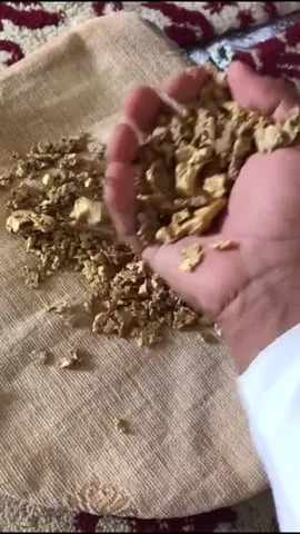 #النداوي #tiktok #ذهب 