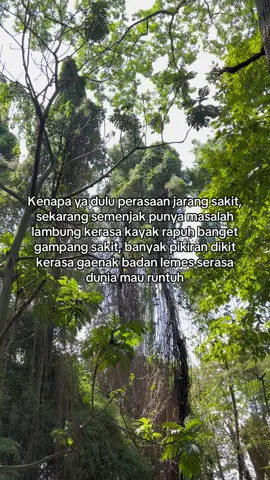 Sekarang kerasa rapuh banget #maag #gerd #asamlambung #lambung #lyrics #fypage #fyp 