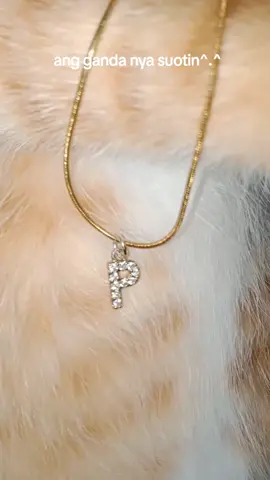 initial necklace for you, with memeng hehehe 🐈😺 #cute #recommendations #aesthetic #fyp #onthisday #sulit #affordable #necklace #fashion 