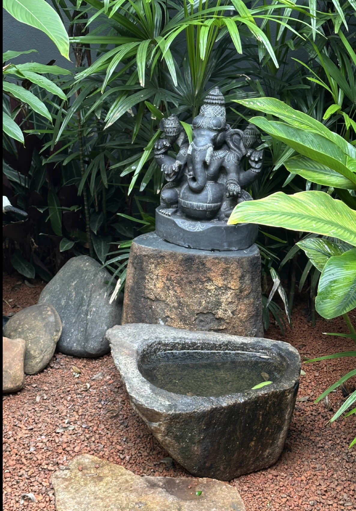Re-visiting a project we completed about a year ago #IndoorGarden #mood #GreenStyle 