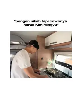 #kimmingyu #seventeenedit 