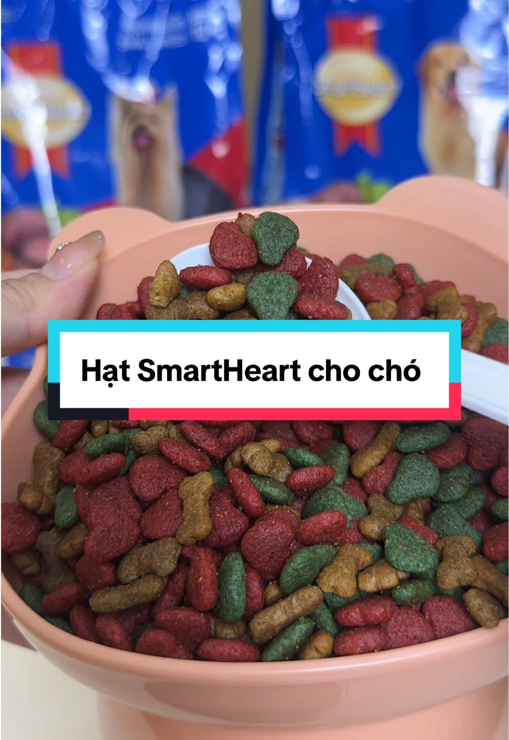 Hạt gì mà hơn chăm cá xíu mà tận 1,5kg siêu hời rồi các Sen ơiii #hatchocho #thucanchocho #hatsmartheart #doanchocho #smartheart 